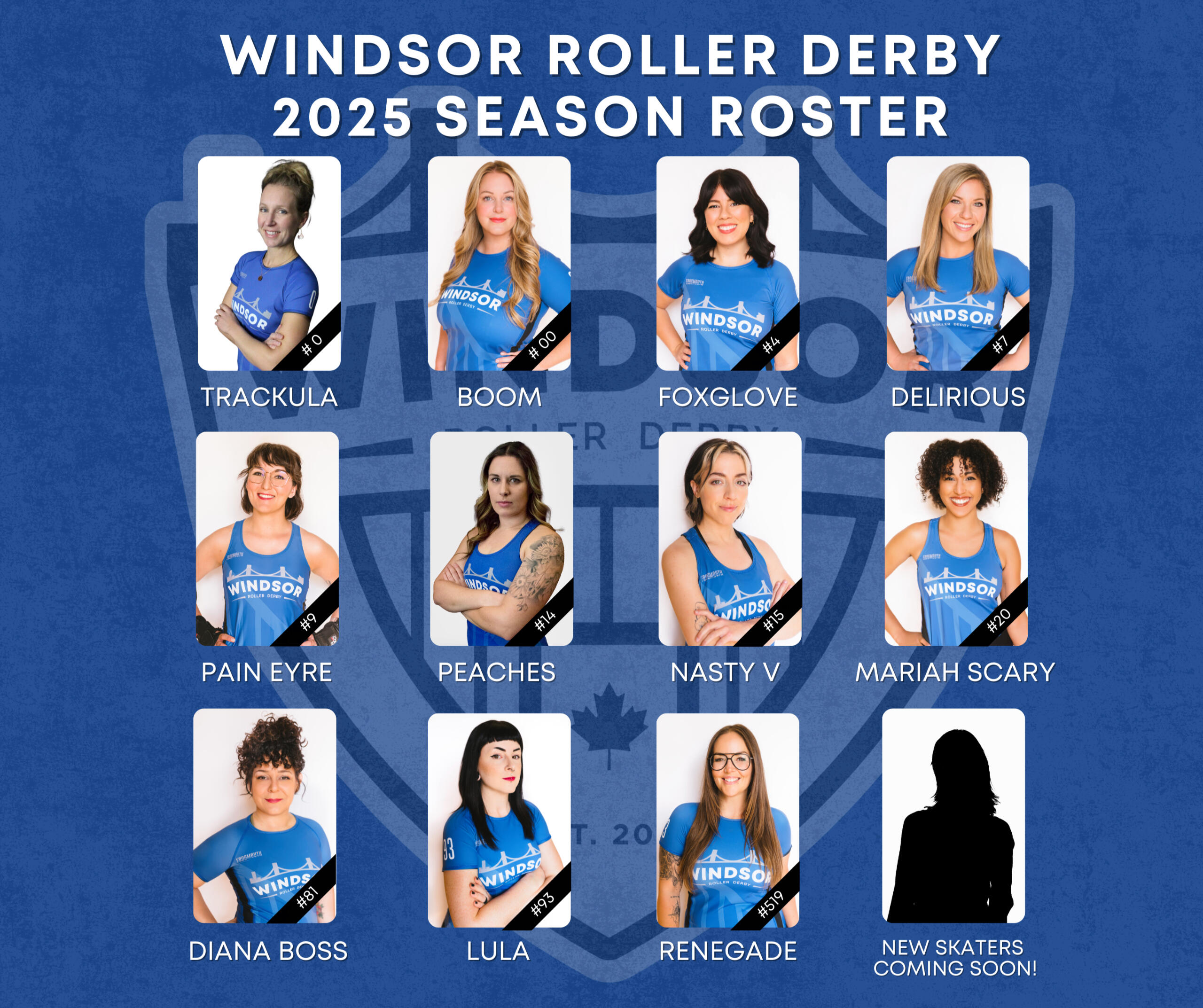 MEET THE TEAM